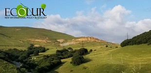 Ответ концерна «Мульти Групп» на запрос ЭкоЛур о неиспользовании месторождения Мгарт