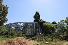 Botanical Garden Reviving