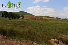 Арманисское золото-полиметаллическое месторождение: результаты мониторинга