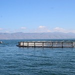 Around 280,000 Young Fish Let Out Into Kartchaghbyur and Masrik Rivers