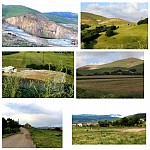 ООО «Мульти Групп Концерн»: как компания выполняла свои обязательства