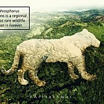 Discussion on "One of War Faces: Ecocide Threat in Artsakh"