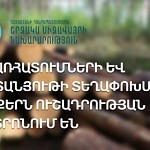 Министерство окружающей среды призывает воздержаться от незаконной вырубки лесов и преобретать древесину только законным путем