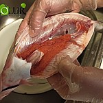 Around 235 Kg of Whitefish Confiscated: Inspection Body