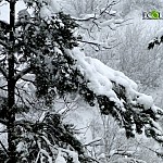 Weather forecast in Armenia, 5 Day Weather Forecast