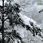 Weather forecast in Armenia, 5 Day Weather Forecast