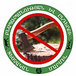 В Лорийской области выявлены случаи незаконных рубок и вывоза древесины