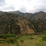 2896 га земли, предоставленной ООО "Армяно-итальянскому совместному предприятию"Сафари Интернэшнл", возвращаются государству