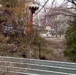 Alarm Signal: Green Zone in Yerevan Being Destroyed