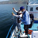 Lake Sevan Started Blooming: Level Decreasing