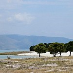 Seaside Startup Summit 2021 Cancelled  Because of Regime Restrictions of Specially Protected Areas