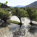 Armenia To Implement Monitoring in Upper Reach of Catchment Basin of Water Springs Supplying Water to Arpa and Vorotan Rivers in Qarvachar Area