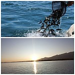 Planned to Breed Sevan trout in Issyk Kul Lake, Kyrgyzstan