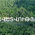 78.039.217 AMD Damage Caused to Environment