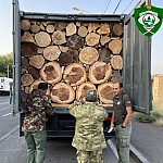 Inspection Body Detected Illegal Tree Felling and Poaching Cases