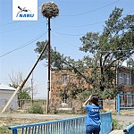 Подсчет аистов в Армавирской области завершен: 40% аистов загрязнены