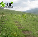 702280 Trees Planted in Armenia Within "10 Million Trees" Initiative in 2020-2021