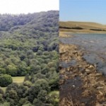 What Works Conducted in Water and Forest Sectors Within Recent Year: Environment Ministry Presenting