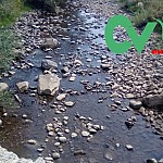 Alarm Signal: No Water in Ayri River for Several Days