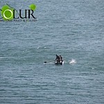 Industrial Fishing Tem in Lake Sevan Extended: Fishing Amount Increased