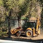 Сигнал тревоги: ООО "Ратко" повалило деревья в Физгородке, полиция остановила работу предприятия