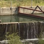 Damage Caused by SHPPs to Ecosystem and Legislative Regulations Expected in This Sector