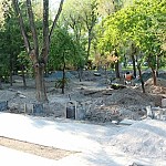 Separate Parks for Dogs To Be Established in Yerevan