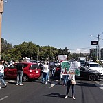 Citizens Holding Protest Demonstration against Construction in Fizgorodok Being Detained