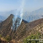 Пожар в национальном парке "Аревик"