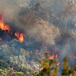 Пожар в национальном парке "Аревик", не удается потушить