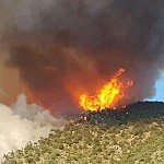 В национальном парке «Аревик» сгорело более 400 га. Разрушительный пожар не удается потушить