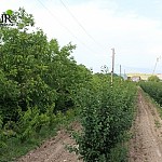 Compensation of Irrigation Water Fees to WUCs