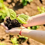 Loss of US 1.5 Billion in Armenia Because of Climate Crisis