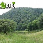 Yerevan Forest Land Rent Payment is Highest Compared to Forest Lands of Other Regions of Republic