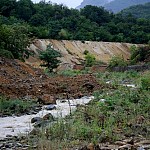 Исследования подтвердили высокое содержание тяжелых металлов в общинах Ахтала и Алаверди