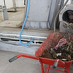 Cleaning Stations To Be Set up in Lake Sevan Littoral Recreational Areas, Food Facilities and Villages