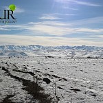 Погода в Армении, прогноз погоды на ближайшие 5 дней