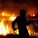 К концу века число лесных пожаров возрастет