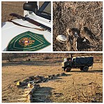 Detection of Illegal Hunting and Timber in Three Regions