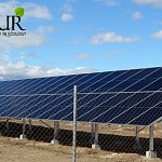 Wind Potential To Be Assessed in Armenia for Construction of 500 MW Wind Power Plants by 2024 and Construction Program of 120 MW 5 Solar Power Plants To Be Implemented