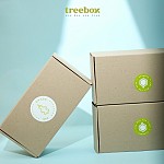 Как обеденный заказ может стать началом посадки деревьев