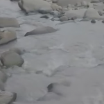 Возбуждено административное дело по факту утечки с «Зангезурского медно-молибденового комбината»