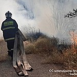 Բուսաբանական այգում բռնկված հրդեհի հետևանքով այրվել է շուրջ 8000 քմ խոտածածկույթ