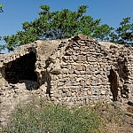 Դալմայի այգիների 18-19-րդ դարերի գինու հնձանները վտանգված են