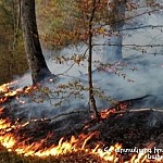 About 450 Hectares of Grassland Burned Down: MES