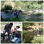 Geochemical Association of Pb-Mo-Zn-Cr Elements Formed in Bottom Sediments of Hrazdan River in Yerevan As Result of Anthropogenic Influence: Research by Center for Ecological-Noosphere Studies) of National Academy of Sciences of RA