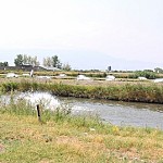 Вместо того, чтобы навязывать свое решение рыбным хозяйствам, правительство РА пошло на уступки