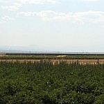 Environmental and Social Risks of Solar Energy