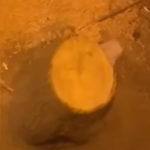 Мэрия Еревана обратится в полицию в связи с незаконной вырубкой дерева на перекрестке Пушкин-Екмалян в Ереване