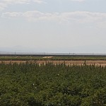 "Masrik-1" Solar Station - Expected Risks of Electronic Wastes